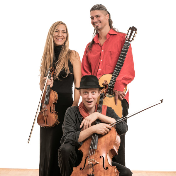 Sozvočja sveta: Wild Strings Trio