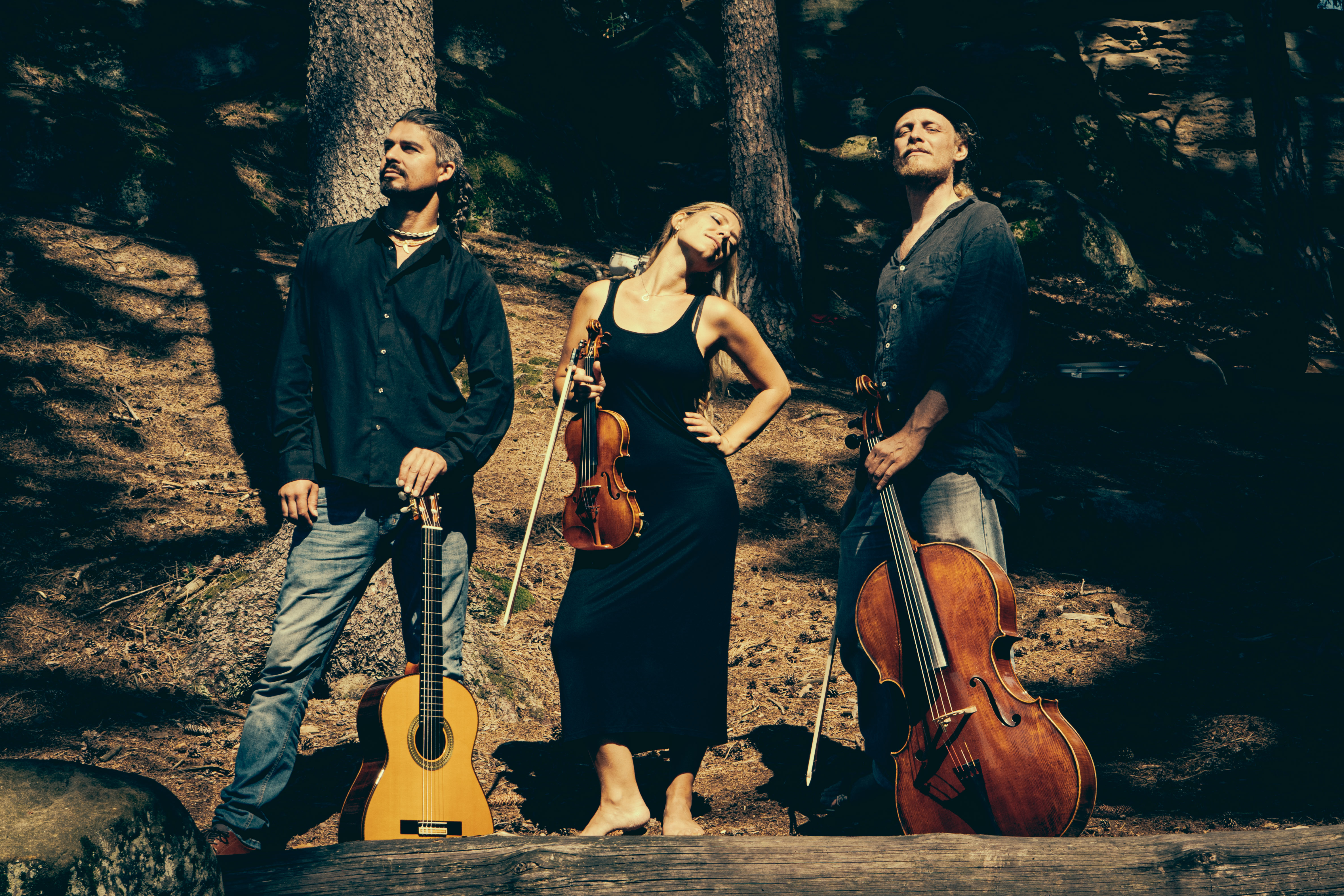 The Harmony of the World: Wild Strings Trio