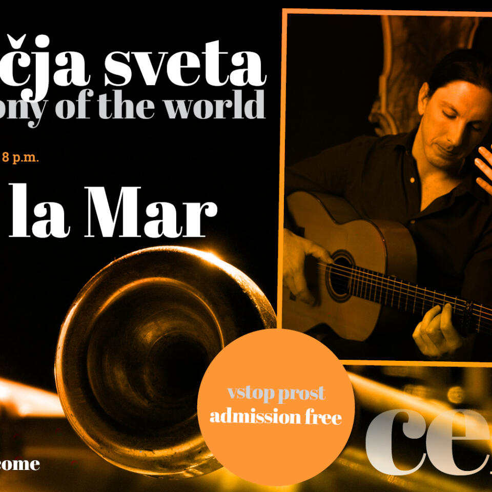 celica sozvocja apr24 