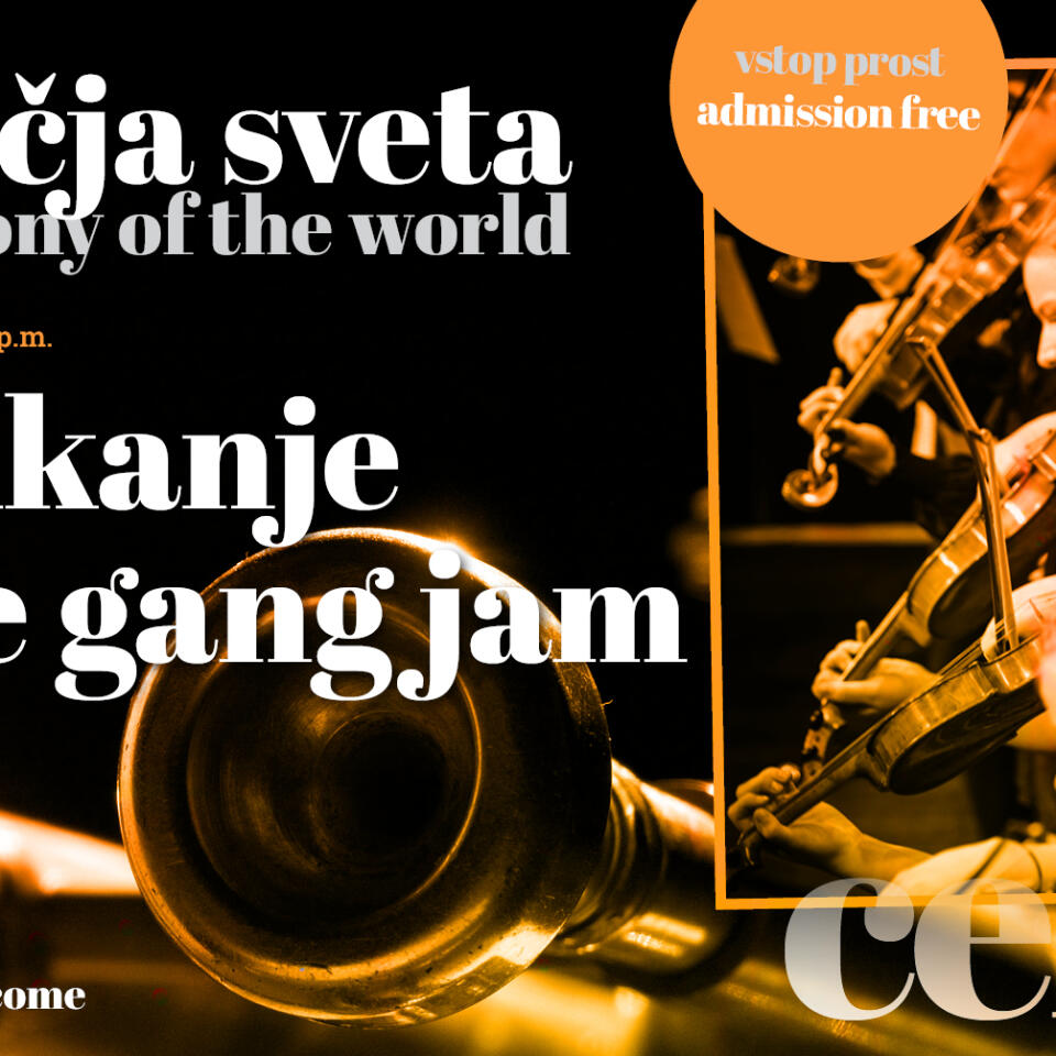 celica sozvocja december 2023 godalkanje
