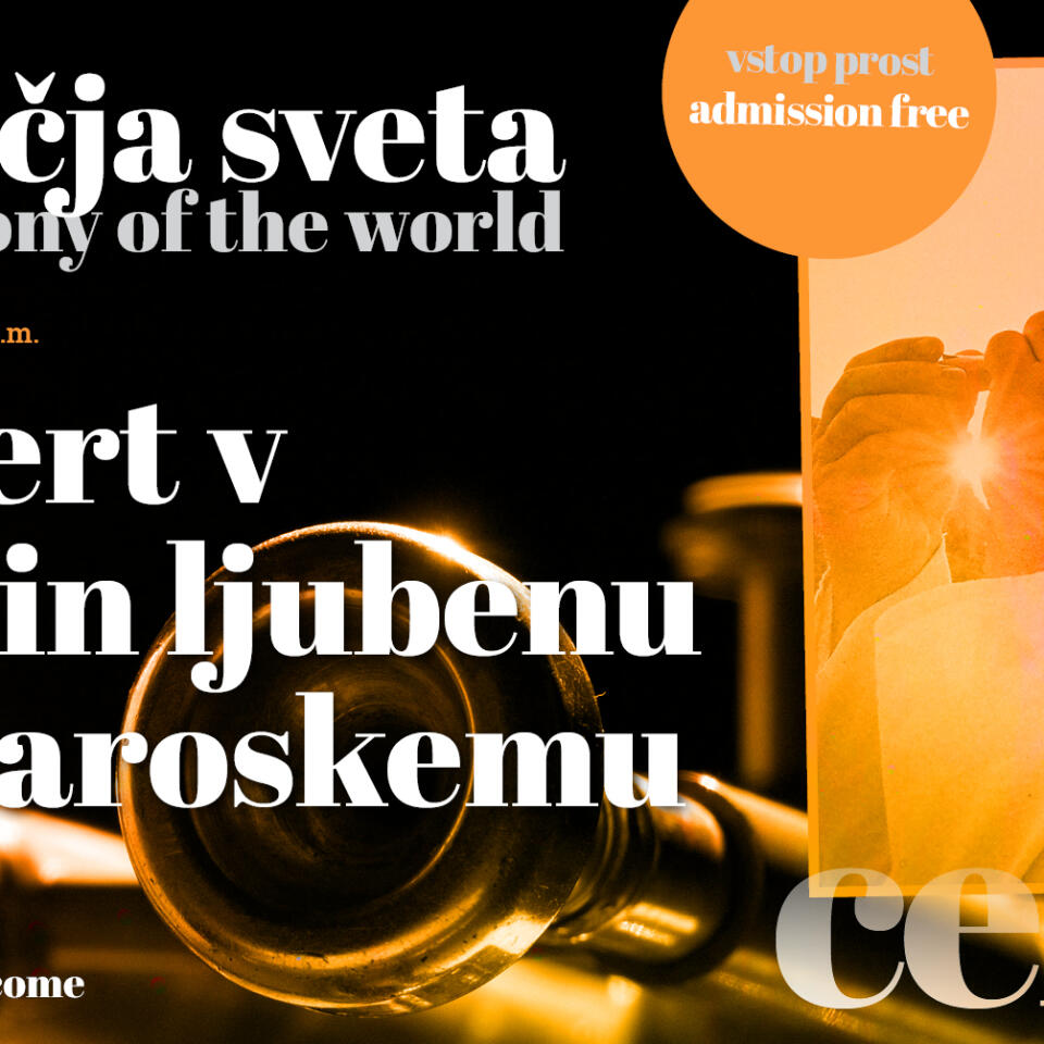 celica sozvocja november 2023 03