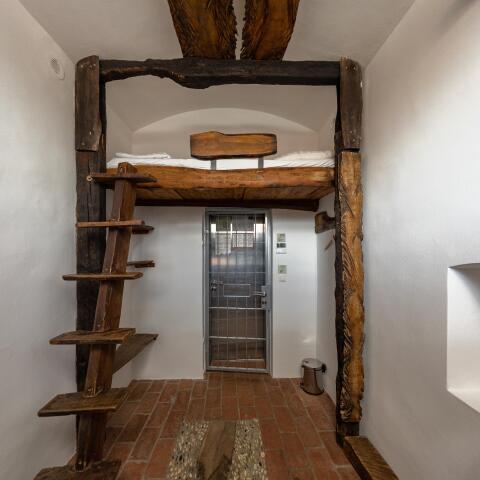 Slovenian Cell